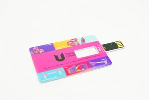 Klasik Döner Plastik Kart USB Flash Bellek ED021