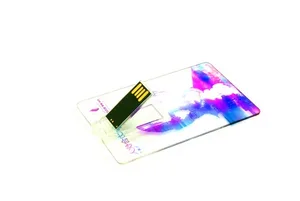 Klasik Döner Plastik Kart USB Flash Bellek ED021