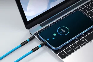 Boyun Askılı Type-C 60W Hızlı Şarj ve Veri Aktarım Kablosu