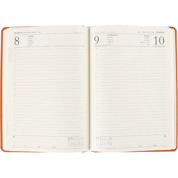 DAILY AGENDA MODELS — detail