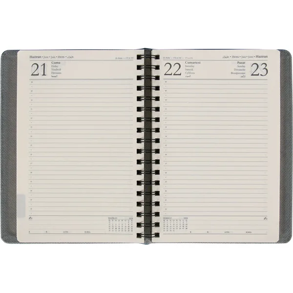 DAILY AGENDA MODELS — detail