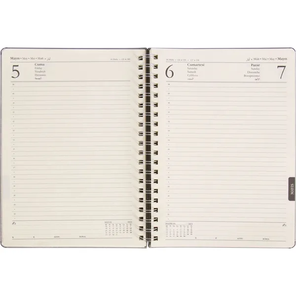 DAILY DAILY AGENDA MODEL 20 — detail