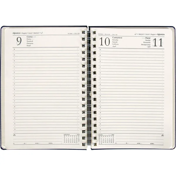 DAILY DAILY AGENDA MODEL 10 — detail