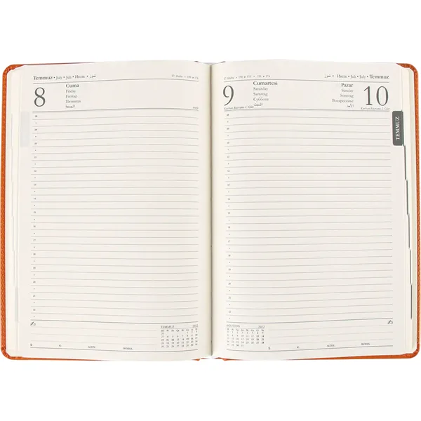 DAILY DAILY AGENDA MODEL 13 — detail